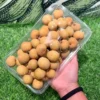 Thai longan কাঁঠলিচু