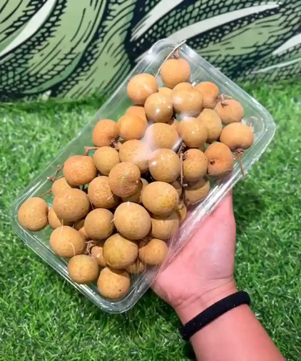 Thai longan কাঁঠলিচু