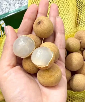 Longan kath lychee থাই লংগান কাঁঠলিচু longan