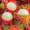 Buy premium Rambutan online in Bangladesh from Fruitlandbd