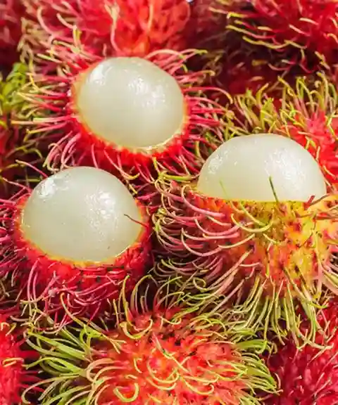 Buy premium Rambutan online in Bangladesh from Fruitlandbd