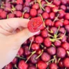 Imported Cherries