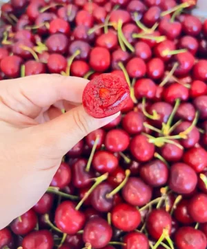 Buy imported cherry from fruitlandbd Imported Cherries