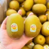 Premium Gold Kiwi imported to Bangladesh - Fruitlandbd