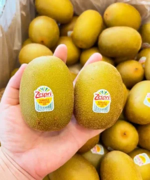 Premium Gold Kiwi imported to Bangladesh - Fruitlandbd Premium Gold Kiwi imported to Bangladesh - Fruitlandbd