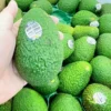 Imported Hass Avocados for sale in Bangladesh - Fruitlandbd