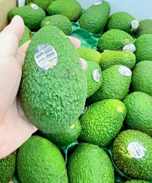 Imported Hass Avocados for sale in Bangladesh - Fruitlandbd