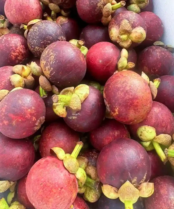 Sweet imported Mangosteen fruit in Bangladesh - Fruitlandbd