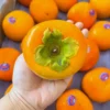 fresh-imported-persimmon-bangladesh Premium Persimmon fruit (পার্সিমন) - Fruitlandbd