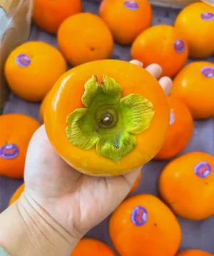fresh-imported-persimmon-bangladesh Premium Persimmon fruit (পার্সিমন) - Fruitlandbd