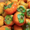 persimmon Web Format1_11zon Fresh imported Persimmon available in Bangladesh - Fruitlandbd