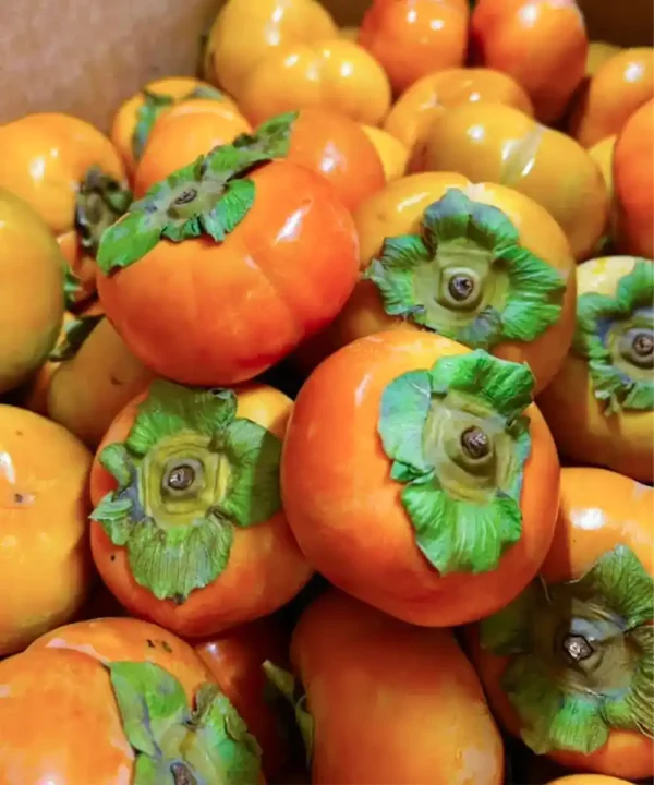 persimmon Web Format1_11zon Fresh imported Persimmon available in Bangladesh - Fruitlandbd