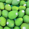Fresh Hass Avocado cut open showing creamy flesh - Fruitlandbd