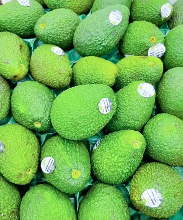 Fresh Hass Avocado cut open showing creamy flesh - Fruitlandbd