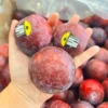 Premium fresh Plum fruit (আলুবোখারা) - Fruitlandbd