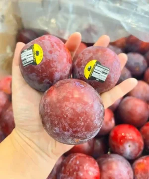 premium-plum-fruitlandbd Premium fresh Plum fruit (আলুবোখারা) - Fruitlandbd