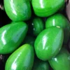 thai-avocado-fruit-bangladesh thai-avocado-fruit-bangladesh