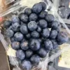 Imported Blueberry