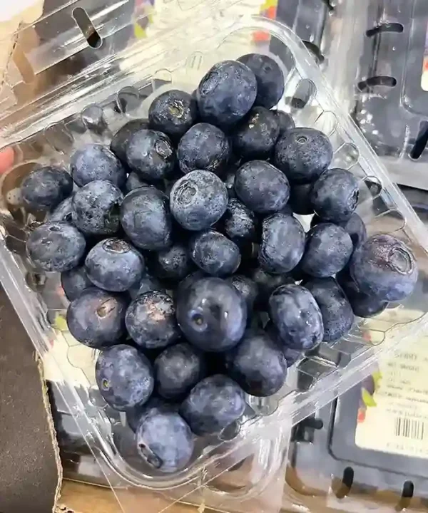 Imported Blueberry