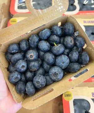 Imported Blueberry